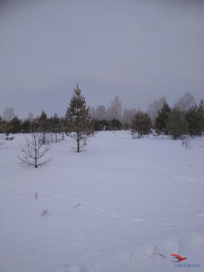 Баженово ул Южная д 7 в Бахчисарае - bahchisaraj.yutvil.ru - фото 5