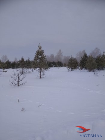 Земельный участок поселок Баженово в Бахчисарае - bahchisaraj.yutvil.ru - фото 5