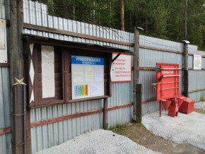 г.Верхняя Пышма СНТ №5 Березки в кв. 22 Среднеуральского Уралмашевского лесхоза в Бахчисарае - bahchisaraj.yutvil.ru - фото 18