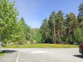 ул. Сосновая, 8 в Бахчисарае - bahchisaraj.yutvil.ru - фото 26